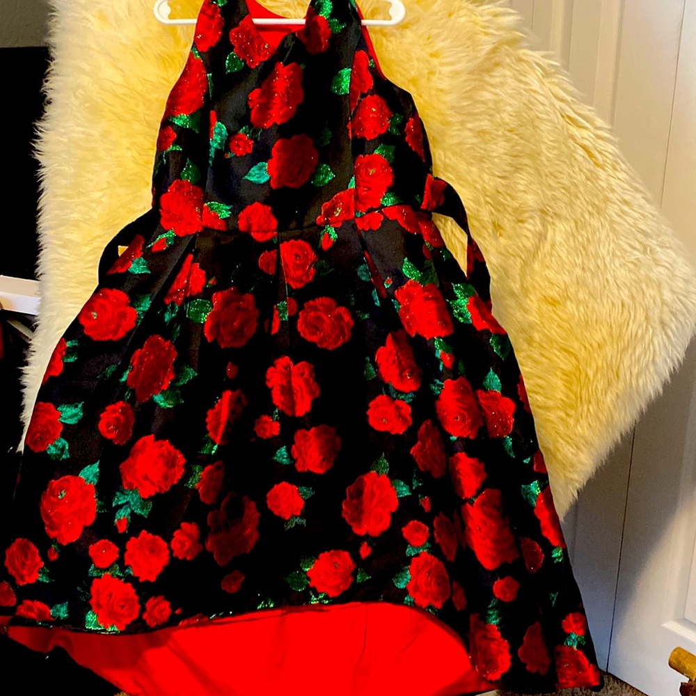Rose Fancy dress